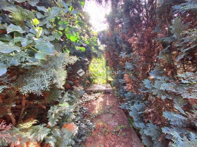 Eladó nyaraló, Balatonakarattyán 59.9 M Ft, 3 szobás