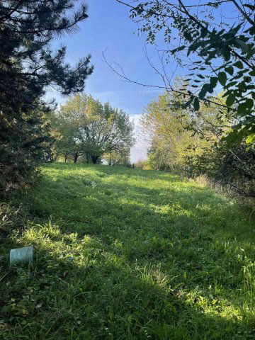 Eladó mezogazdasagi ingatlan, Oroszlányban 7.9 M Ft, 1 szobás
