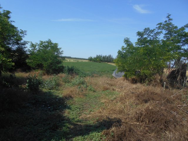 Eladó családi ház, Dombegyházán 3.9 M Ft, 2 szobás