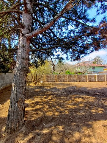 Kiadó téglalakás, albérlet, Pécsett, Faludi Ferenc utcában