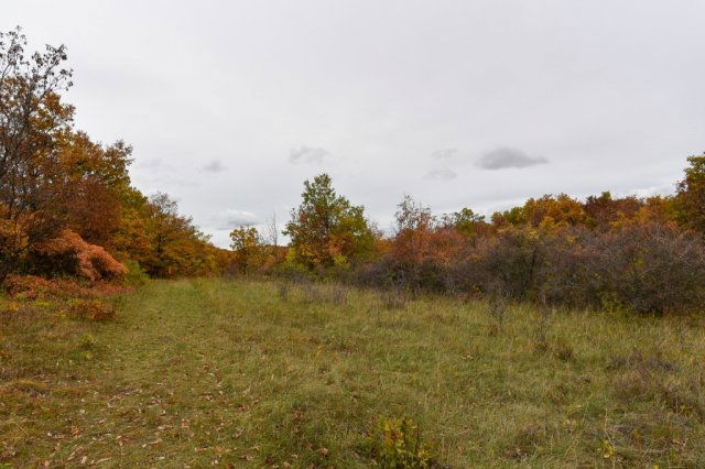 Eladó telek, Pécselyen 19.99 M Ft / költözzbe.hu