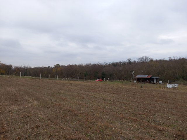 Eladó családi ház, Lovasberényben 49.99 M Ft, 1 szobás