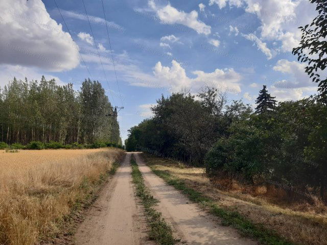 Eladó mezogazdasagi ingatlan, Jászszentandráson 39.9 M Ft