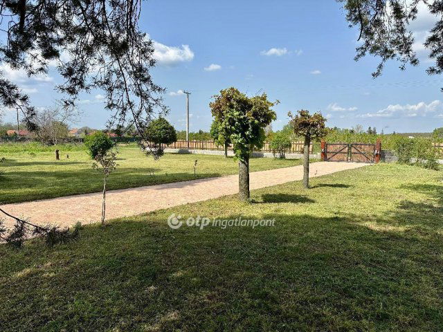 Eladó mezogazdasagi ingatlan, Dánszentmiklóson 124 M Ft