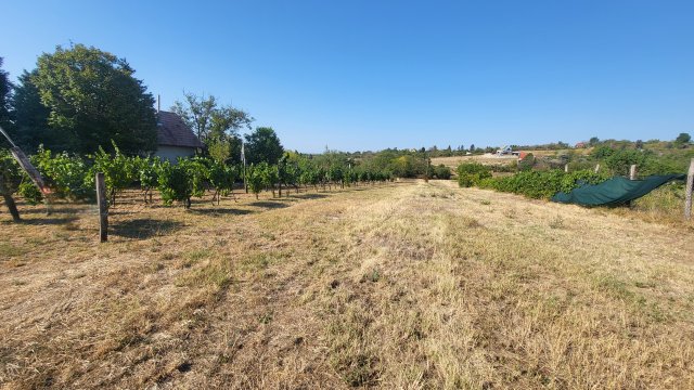 Eladó telek, Balatonkenesén 28 M Ft / költözzbe.hu