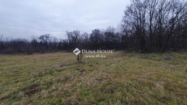 Eladó telek, Kerepesen 125 M Ft / költözzbe.hu