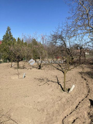 Eladó telek, Kecskeméten 5.5 M Ft / költözzbe.hu