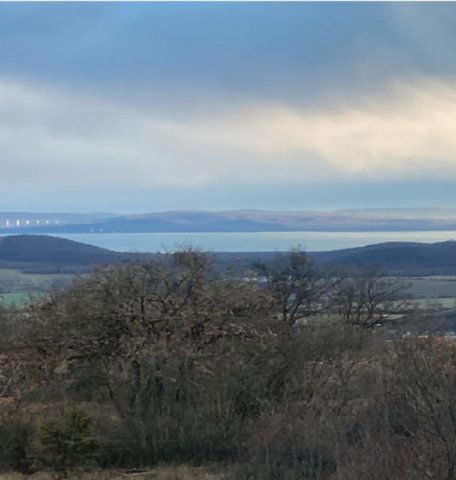 Eladó mezogazdasagi ingatlan, Pécselyen 95 M Ft