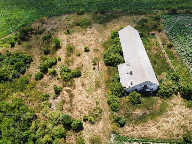 Eladó mezogazdasagi ingatlan, Bedegkéren 24.9 M Ft
