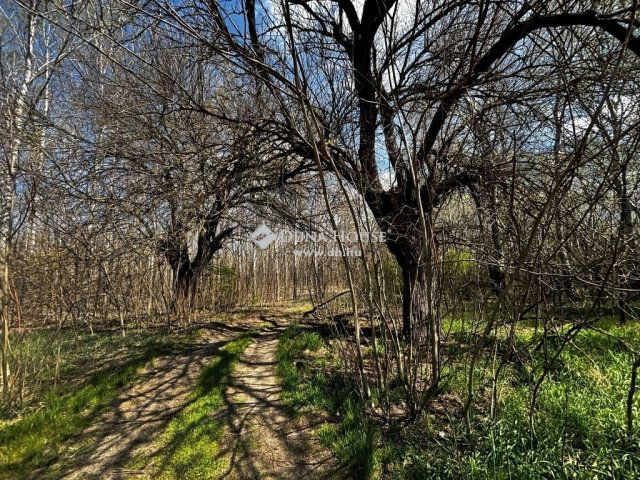 Eladó mezogazdasagi ingatlan, Dabason 120 M Ft