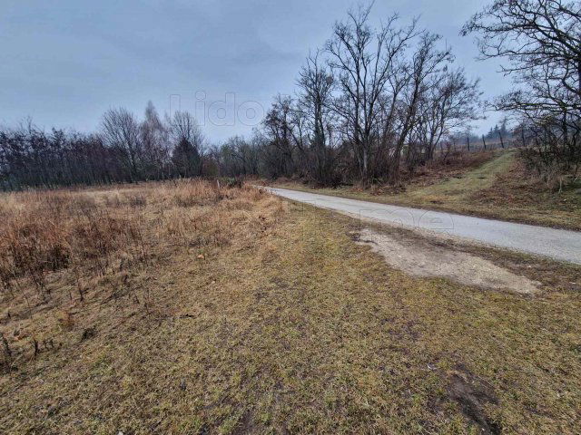 Eladó mezogazdasagi ingatlan, Lovasberényben 13.9 M Ft