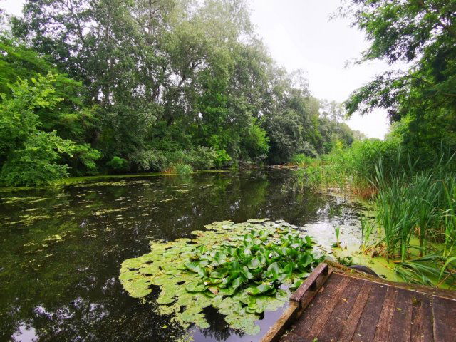 Eladó nyaraló, Ráckevén 24 M Ft, 2+1 szobás