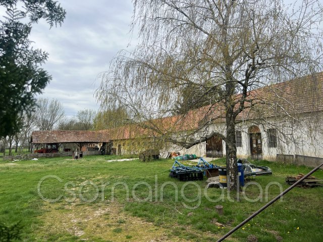 Eladó mezogazdasagi ingatlan, Potyondon 57 M Ft