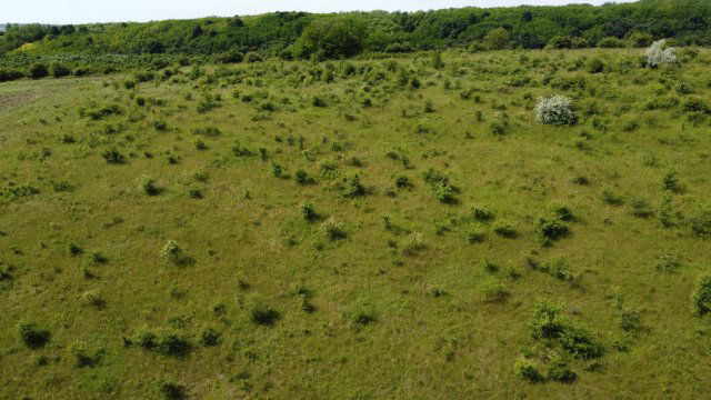 Eladó mezogazdasagi ingatlan, Isaszegen 11.9 M Ft