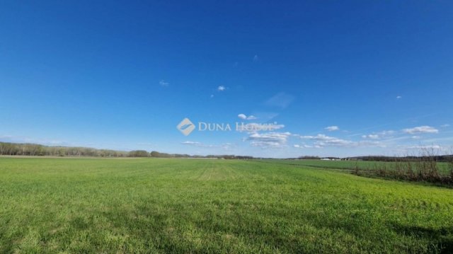 Eladó mezogazdasagi ingatlan, Sülysápon 40.5 M Ft
