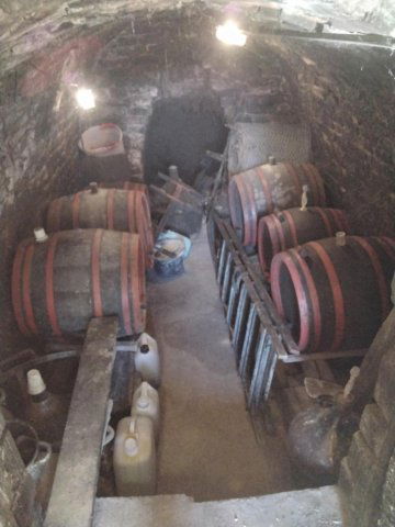 Eladó telek, Ságváron 7.3 M Ft / költözzbe.hu