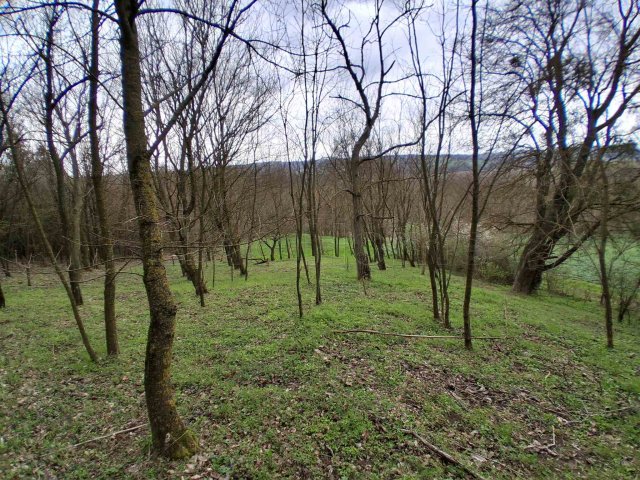 Eladó telek, Szentgyörgyváron 5.5 M Ft / költözzbe.hu