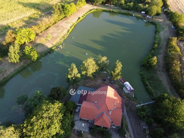 Eladó családi ház, Bakonyán 300 M Ft, 5 szobás