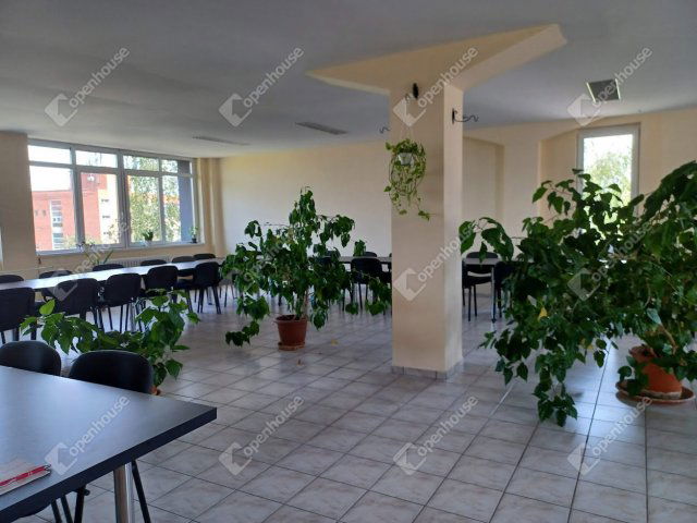 Kiadó iroda, Debrecenben 382 E Ft / hó, 1 szobás