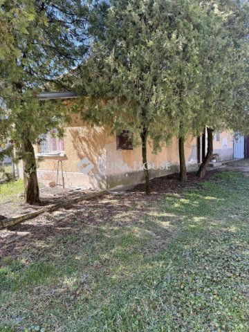 Eladó családi ház, Bodrogkisfaludon 16 M Ft, 1 szobás