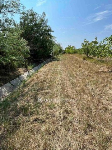 Eladó telek, Fehérgyarmaton 25 M Ft / költözzbe.hu