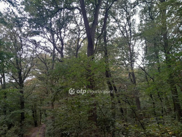 Eladó mezogazdasagi ingatlan, Tarjánon 38 M Ft