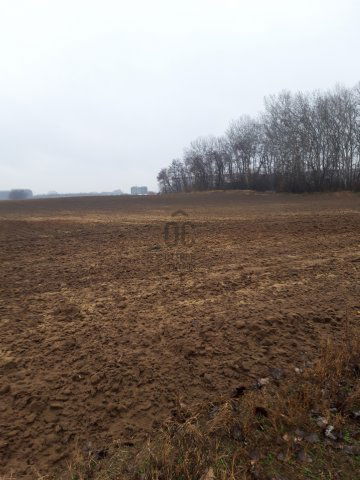 Eladó mezogazdasagi ingatlan, Üllőn 700 M Ft
