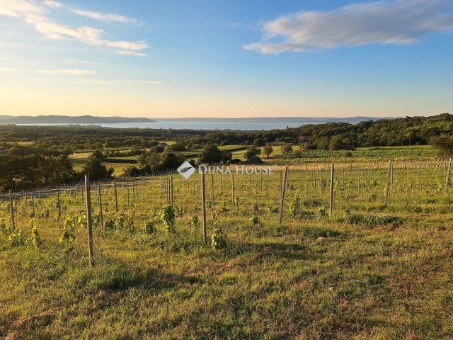 Eladó mezogazdasagi ingatlan, Dörgicsén 200 M Ft