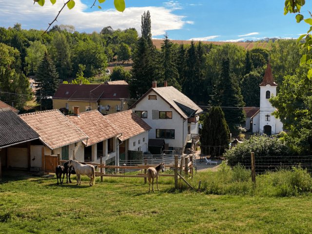 Eladó családi ház, Ligetfalván 104.676 M Ft, 6 szobás