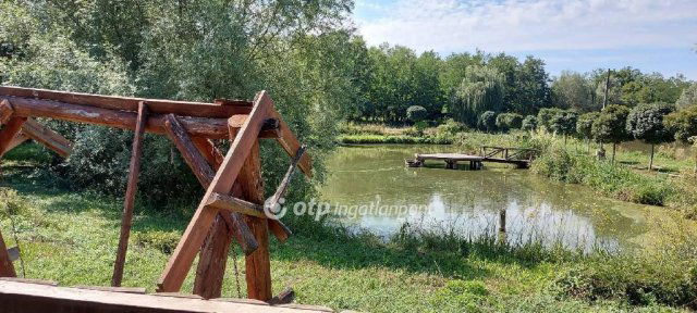 Eladó mezogazdasagi ingatlan, Garén 111.1 M Ft