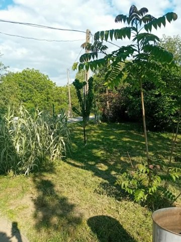 Eladó nyaraló, Mezőtúron 15.5 M Ft, 1 szobás
