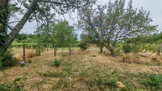 Eladó mezogazdasagi ingatlan, Szigetváron 6.99 M Ft, 1 szobás