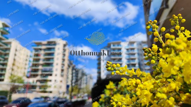 Kiadó téglalakás, albérlet, XIII. kerületben, Úszódaru utcában