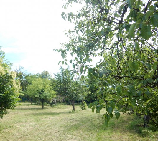 Eladó telek, Zalaegerszegen 19.9 M Ft / költözzbe.hu
