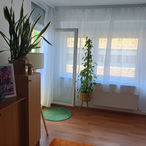 Kiadó téglalakás, albérlet, Pápán 130 E Ft / hó