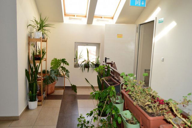 Eladó téglalakás, Üllőn 54 M Ft, 3 szobás