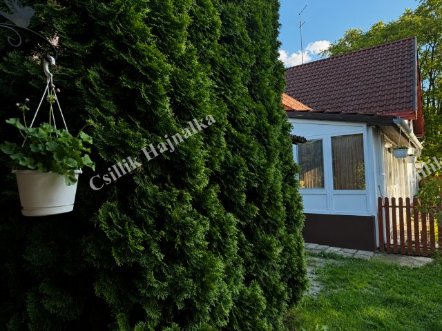 Eladó ikerház, Szolnokon 76.9 M Ft, 4+1 szobás