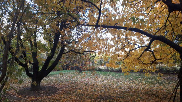 Eladó telek, Pilisszentkereszten 69.9 M Ft / költözzbe.hu