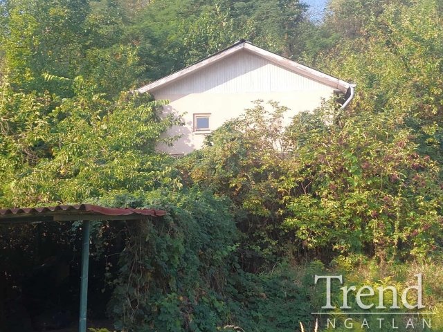 Eladó nyaraló, Adonyban 7.9 M Ft, 1 szobás / költözzbe.hu