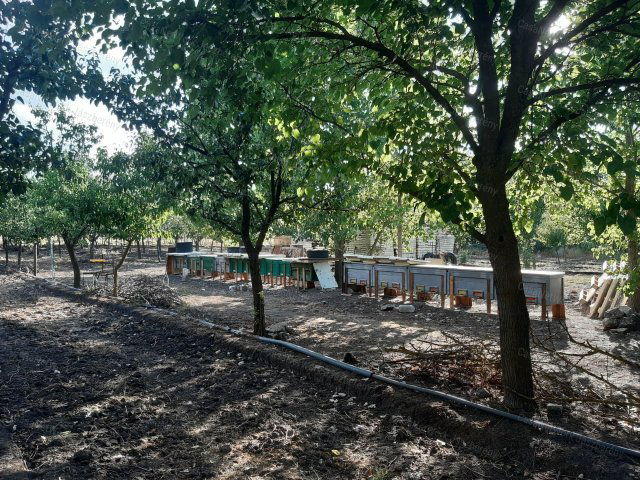 Eladó családi ház, Jászdózsán 22.9 M Ft, 2 szobás