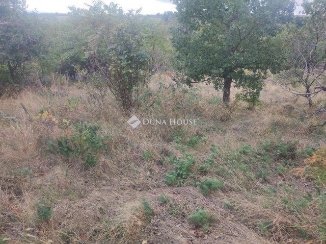 Eladó telek, Kővágószőlősön 5.5 M Ft / költözzbe.hu