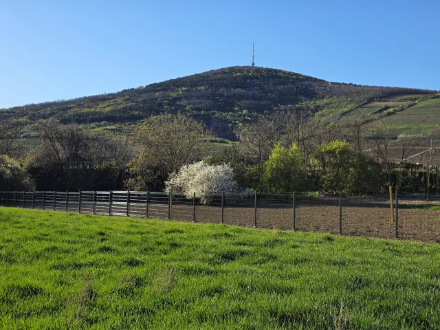 Eladó telek, Tokajban 25.9 M Ft / költözzbe.hu