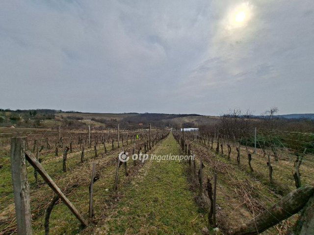 Eladó telek, Lovasberényben 11.9 M Ft / költözzbe.hu