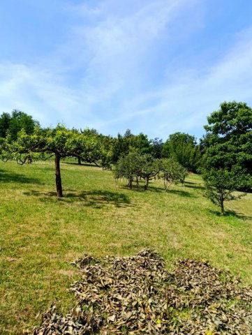Eladó telek, Boncodföldén 10.8 M Ft / költözzbe.hu