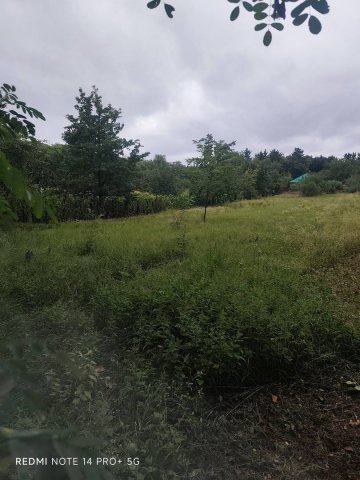 Eladó telek, Győrságon 13.5 M Ft / költözzbe.hu