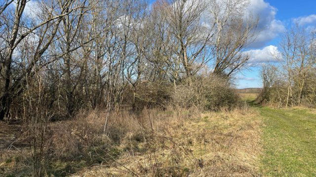 Eladó ipari ingatlan, Csáfordjánosfán 23.069 M Ft