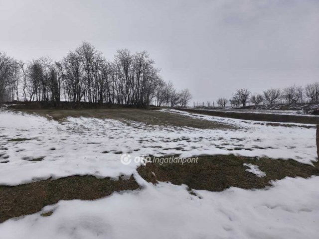 Eladó telek, Villánykövesden 50 M Ft / költözzbe.hu
