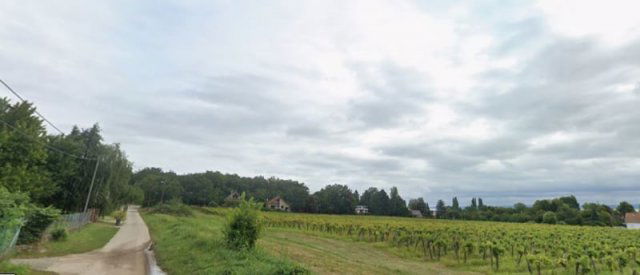 Eladó mezogazdasagi ingatlan, Balatonszepezden 99 M Ft