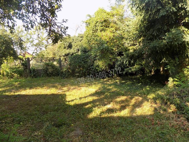 Eladó családi ház, Pápán 29.9 M Ft, 3 szobás