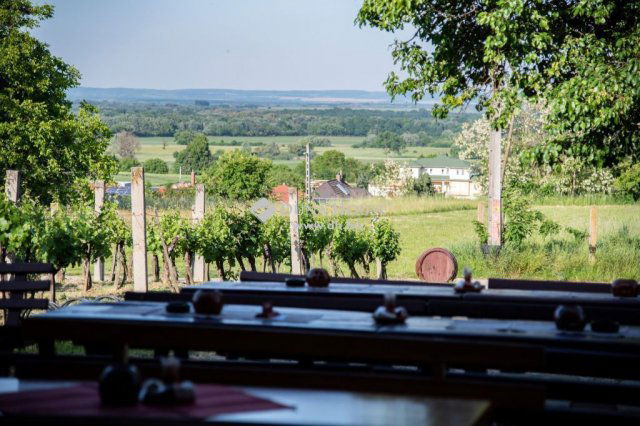 Eladó ipari ingatlan, Zalakaroson 51.9 M Ft / költözzbe.hu